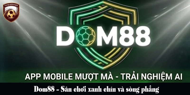 Dom88 – Sân chơi xanh chín và sòng phẳng