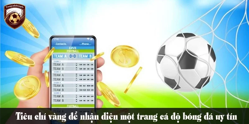 Tiêu chí để đánh giá một trang cá độ bóng đá có uy tín không